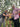 Group of people in a park with one person in a pink floral shirt giving a thumbs-up.