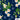 Floral pattern with white flowers and green leaves on a dark blue background, featuring 'Emu Park' and 'Island Style Clothing' logos.