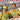 Le Tour De Merriwa Cycling Event, NSW | Mens & Womens Customised Hawaiian Shirts