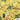 Le Tour De Merriwa Cycling Event, NSW | Mens & Womens Customised Hawaiian Shirts