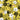 Tropical floral pattern with leaves, flowers, and birds on a yellow background