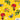 World Scout Moot 2025 – Australian Contingent Custom Shirts, Shorts & Hats