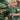 Toddler girl in Holidaze Kids Unisex Festive Shirt with colorful Christmas patterns, great for family matching Christmas outfits.