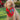 Aussie Christmas Red| Matching Xmas Dog Bandanas