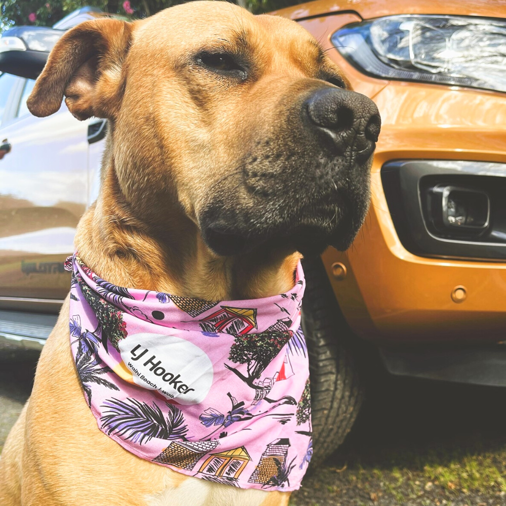 Our Kiwi cousins at LJ Hooker, Waihi Beach, NZ wanted some snazzy new shirts, shorts and matching pet bandanas. They dazzle at Floral Funky Fridays and the Barefoot Bowls. They wanted one of their developments included in their design which we did and they are very happy with the result. The pet bandanas make a great Christmas gift and have many local dogs as walking billboards! Custom Hawaiian Shirts & Shorts Pet Bandanas to match 100% soft rayon Coconut buttons