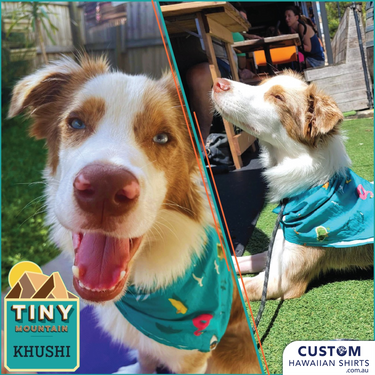 Tiny Mountain Custom Pet Bandanas