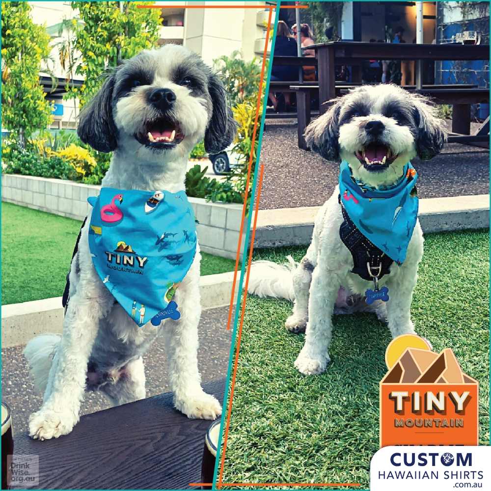 Tiny Mountain Brewery, Townsville - Custom Uniforms & Merch
