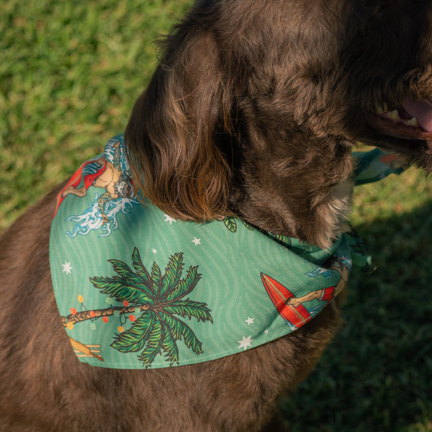 Aussie Christmas - Dog Bandana Help your furry family member be the santa of attention this Christmas with our newest Aussie Christmas Dog Bandana. Sure to earn some jealous looks on the streets, this bandana comes in two different sizes to fit cats and dogs of every breed.