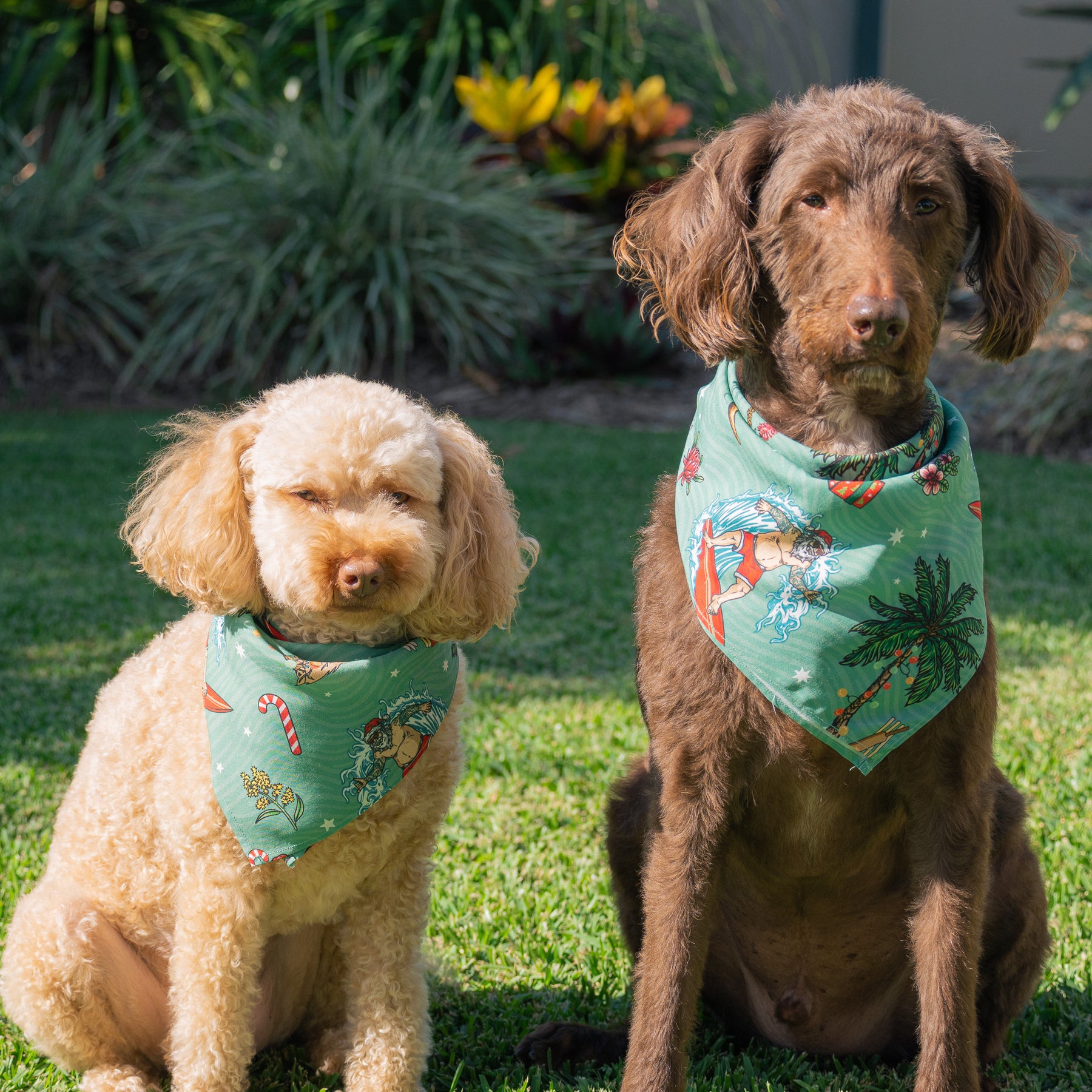 Aussie Christmas - Dog Bandana Help your furry family member be the santa of attention this Christmas with our newest Aussie Christmas Dog Bandana. Sure to earn some jealous looks on the streets, this bandana comes in two different sizes to fit cats and dogs of every breed.
