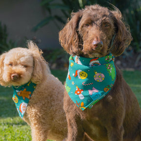 Make sure your pup looks the part this holiday season with our Holidaze Christmas Bandana! Fitted with festive designs of candy canes, reindeer, and santa claus, it's the perfect accessory! (Heck, even Santa might be a bit jealous.) Get hoppin' and have your furry friend feeling ready to rock around the Christmas tree!