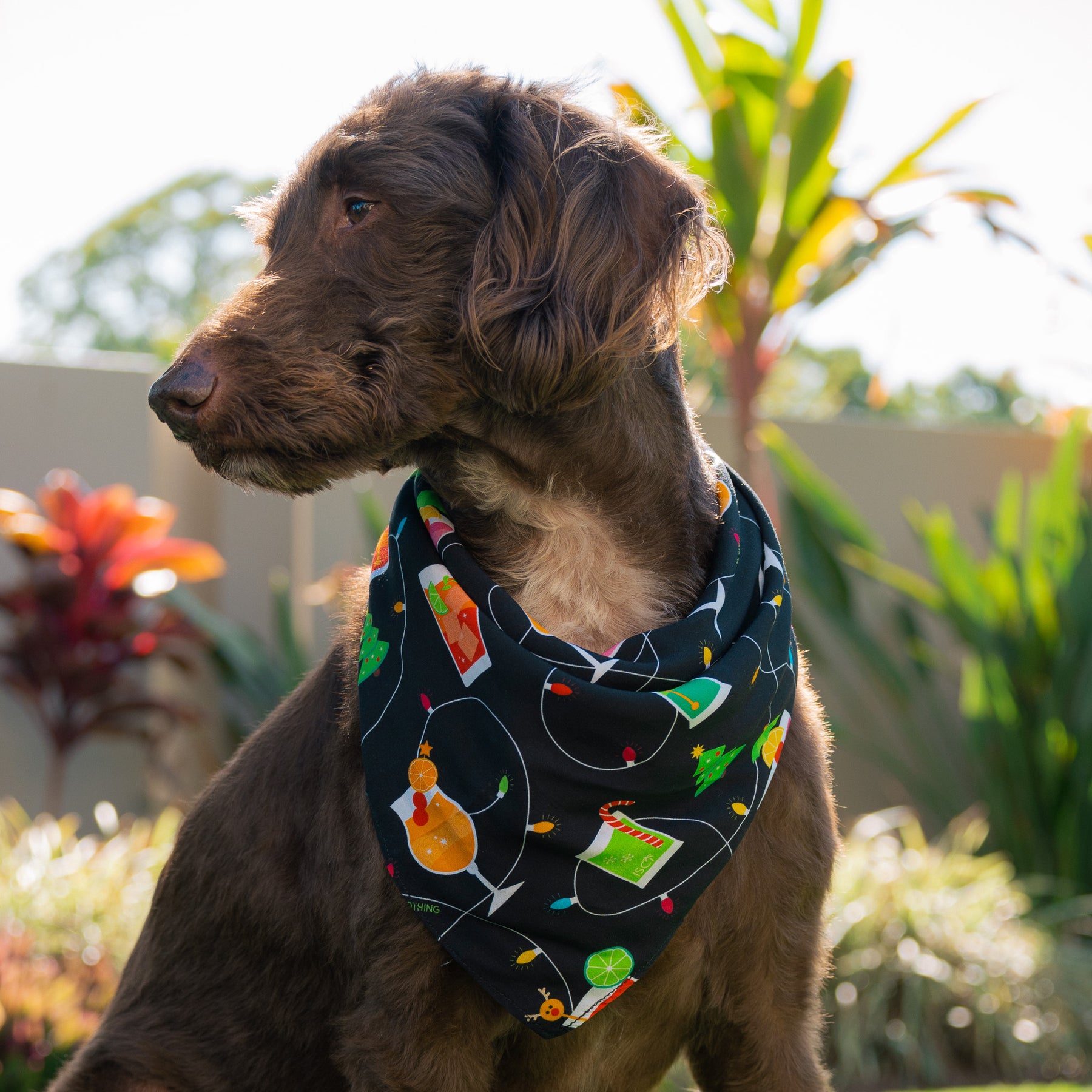 Keep your pup merry this holiday season with a cheerful Christmas Spirits Dog Bandana! This festive accessory features sweet cocktail-themed prints and colourful Christmas lights - sure to make your pup the most paw-pular one at the holiday party! (Cheers!)