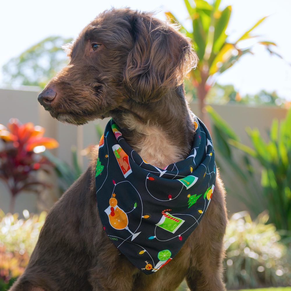Keep your pup merry this holiday season with a cheerful Christmas Spirits Dog Bandana! This festive accessory features sweet cocktail-themed prints and colourful Christmas lights - sure to make your pup the most paw-pular one at the holiday party! (Cheers!)
