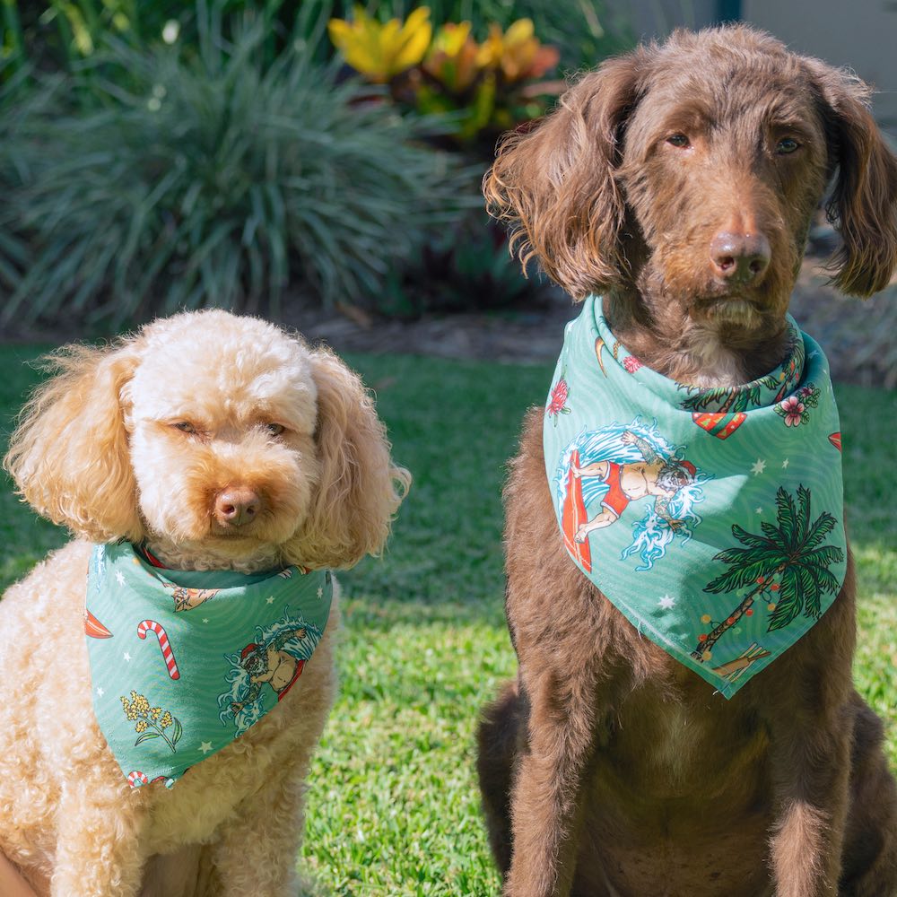 Help your furry family member be the Santa of attention this Christmas with our newest Aussie Christmas Dog Bandana. Sure to earn some jealous looks on the streets, this bandana comes in two different sizes to fit cats and dogs in many breeds. Top-to-tail trendy.  You’ve come to the right place for all your Christmas Clothing Essentials! Pair with the matching Humans Shirts and Bucket Hats to be fully decked out. View the Christmas Collection. 