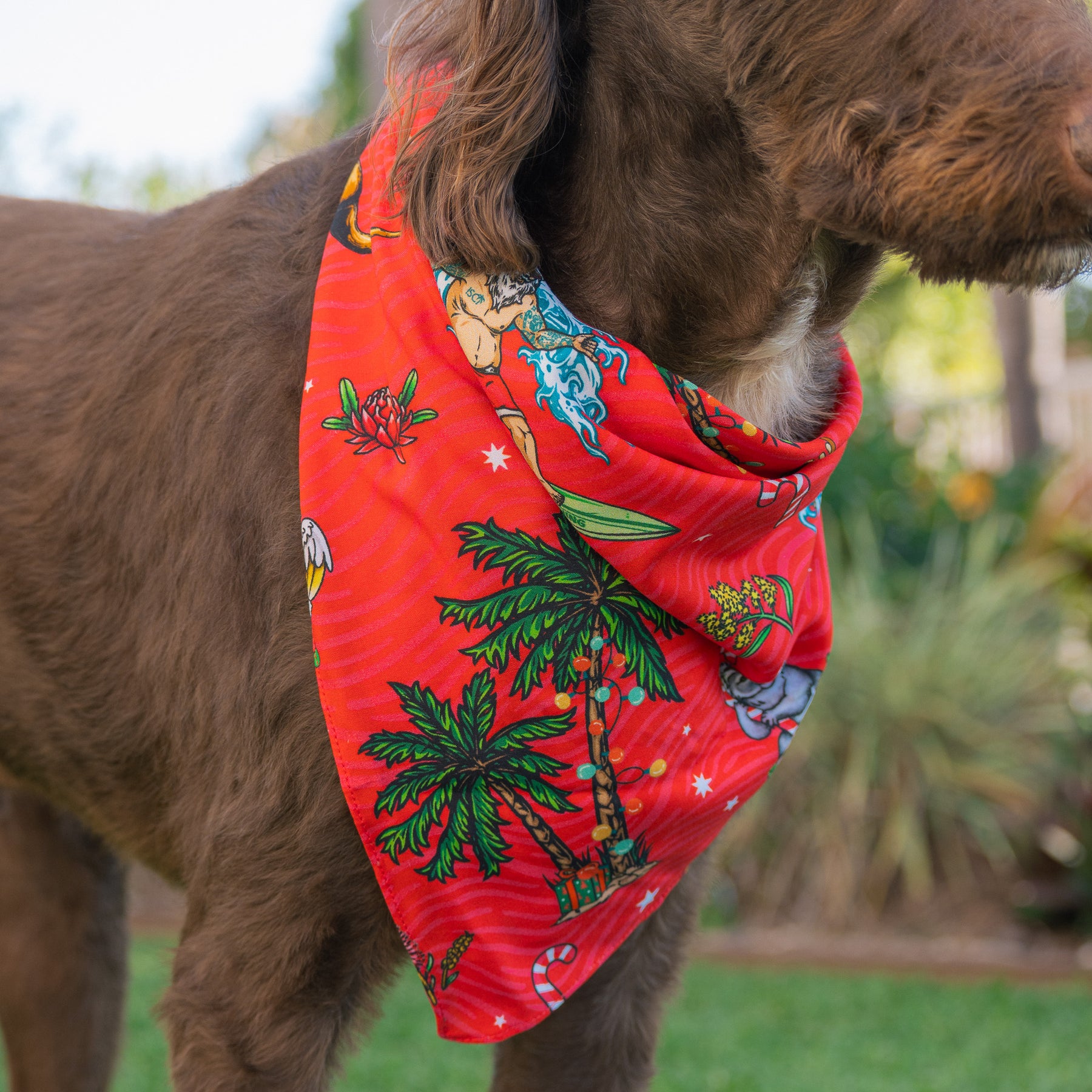 Kit for the koolest in the Kennel! Help your furry family member be the Santa of attention this Christmas with our newest Aussie Christmas Dog Bandana. Sure to earn some jealous looks on the streets, this bandana comes in two different sizes to fit most breeds.