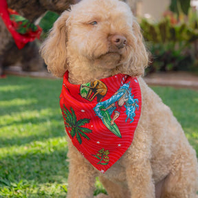 Kit for the koolest in the Kennel! Help your furry family member be the Santa of attention this Christmas with our newest Aussie Christmas Dog Bandana. Sure to earn some jealous looks on the streets, this bandana comes in two different sizes to fit most breeds.  Our looks bury the competition. Match with the humans ... view the Christmas Collection. 
