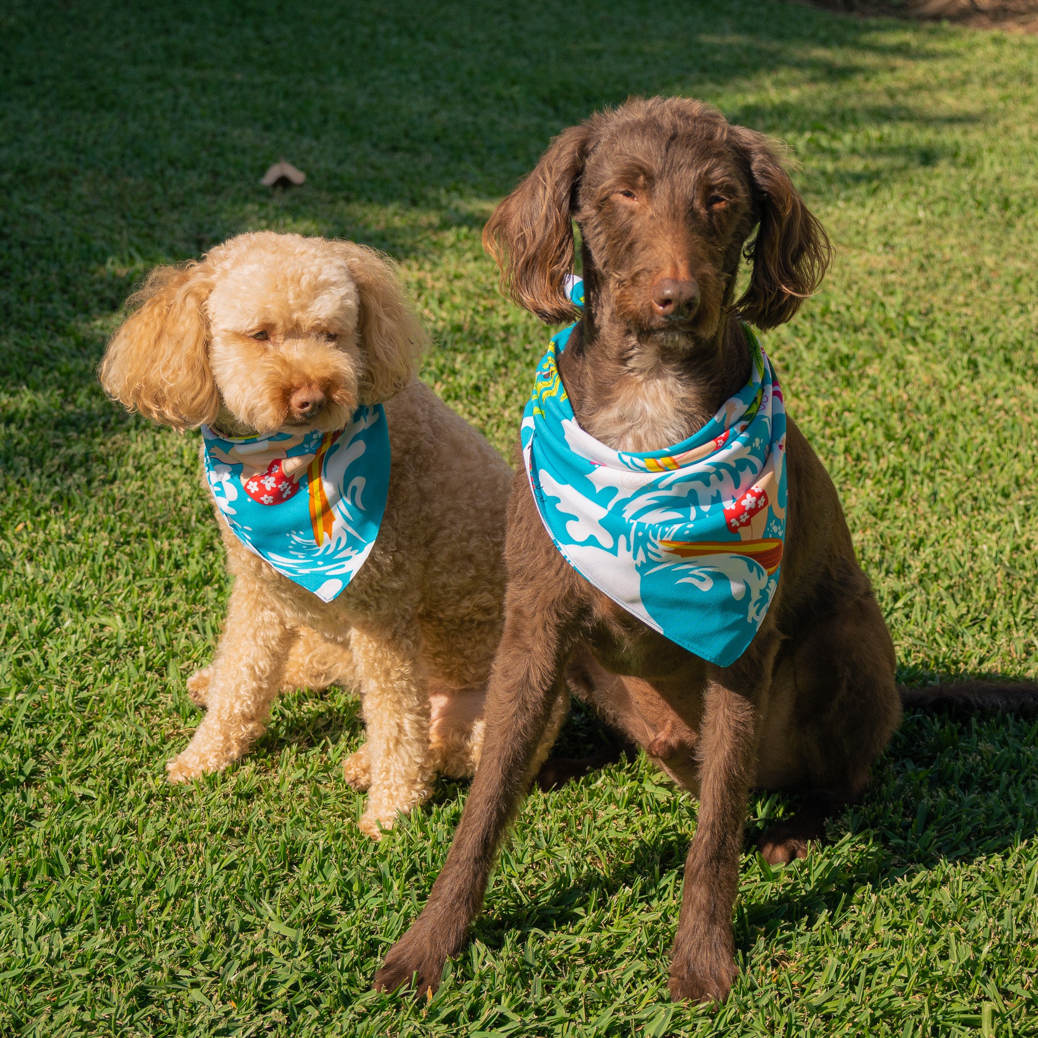 Dog Bandanas Blue Surfing Santa Pets Humans Festive Party Fun Hawaiian