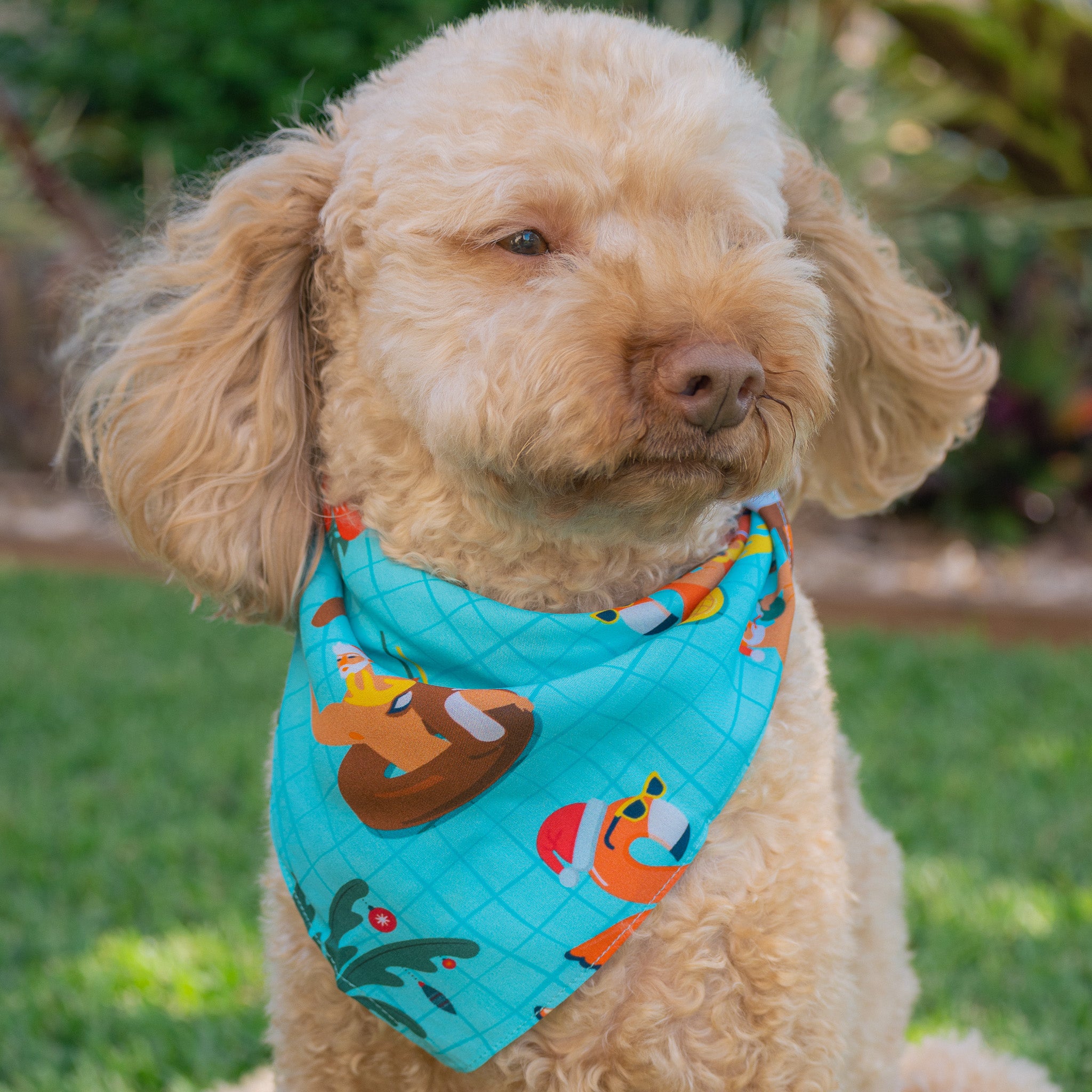 Help your furry family member be the Santa of attention this Christmas with our newest Christmas Pool Party Dog Bandana. Sure to earn some jealous looks on the streets, this bandana comes in two different sizes to fit cats and dogs of every breed. You’ve come to the right place for all your Christmas Clothing Essentials! Pair with the matching Shirts to be fully decked out. View the Christmas Collection.