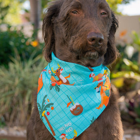 Help your furry family member be the Santa of attention this Christmas with our newest Christmas Pool Party Dog Bandana. Sure to earn some jealous looks on the streets, this bandana comes in two different sizes to fit cats and dogs of every breed. You’ve come to the right place for all your Christmas Clothing Essentials! Pair with the matching Shirts to be fully decked out. View the Christmas Collection.