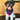 Custom Dog Bandanas