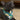 Dog wearing a teal bandana with coconut design on a blurred background