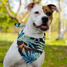 Dog wearing a colorful tropical leaf bandana in a park setting