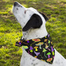 Dog wearing a colorful mushroom-patterned bandana in a grassy field