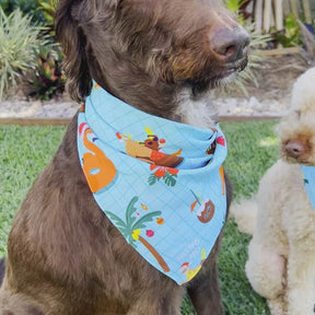 Help your furry family member be the Santa of attention this Christmas with our newest Christmas Pool Party Dog Bandana. Sure to earn some jealous looks on the streets, this bandana comes in two different sizes to fit cats and dogs of every breed. You’ve come to the right place for all your Christmas Clothing Essentials! Pair with the matching Shirts to be fully decked out. View the Christmas Collection.