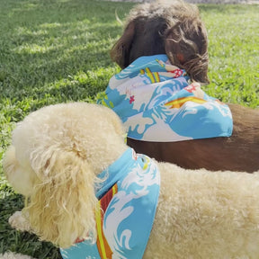 Blue Surfing Santa - Dog Bandana