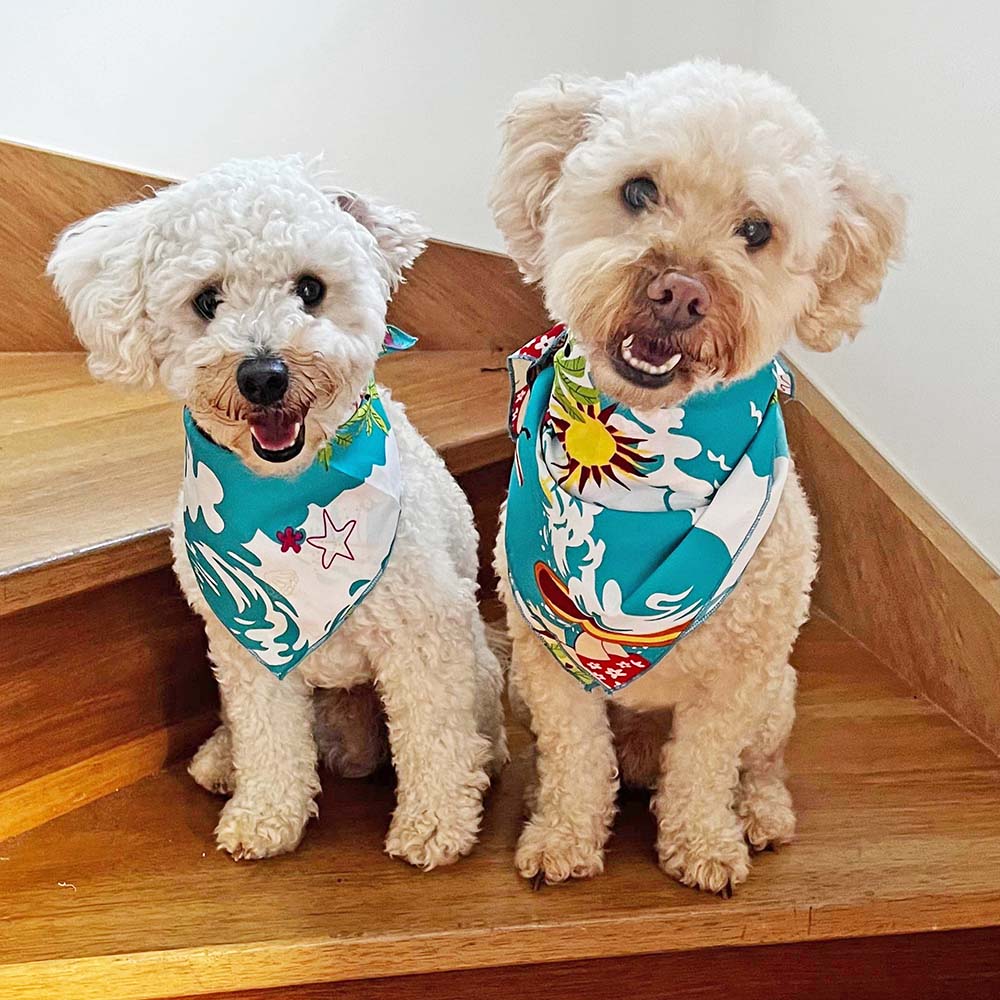 Hawaiian store dog bandana