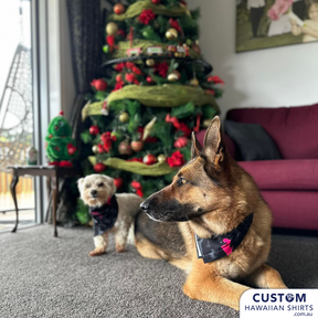 Mrs K's Pet Grooming - Customised Uniforms