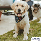 The Left Bank, WA - Custom Pet Bandanas